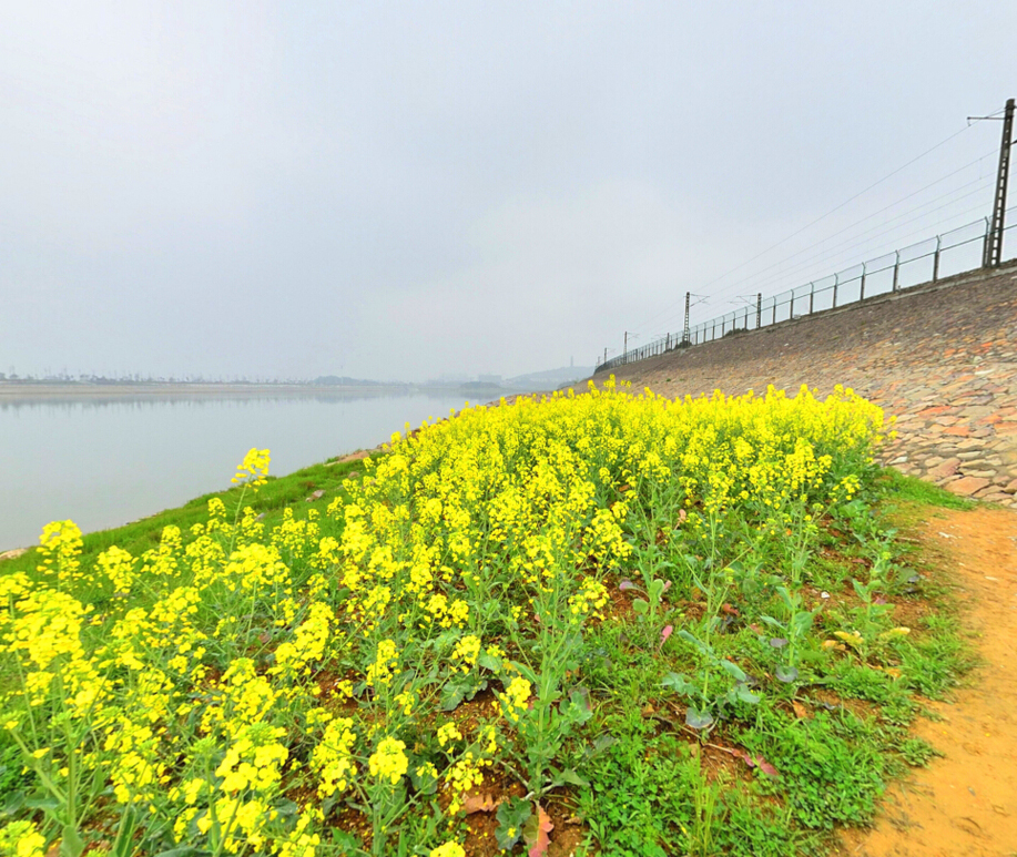 洞庭湖湿地vr动景全景图