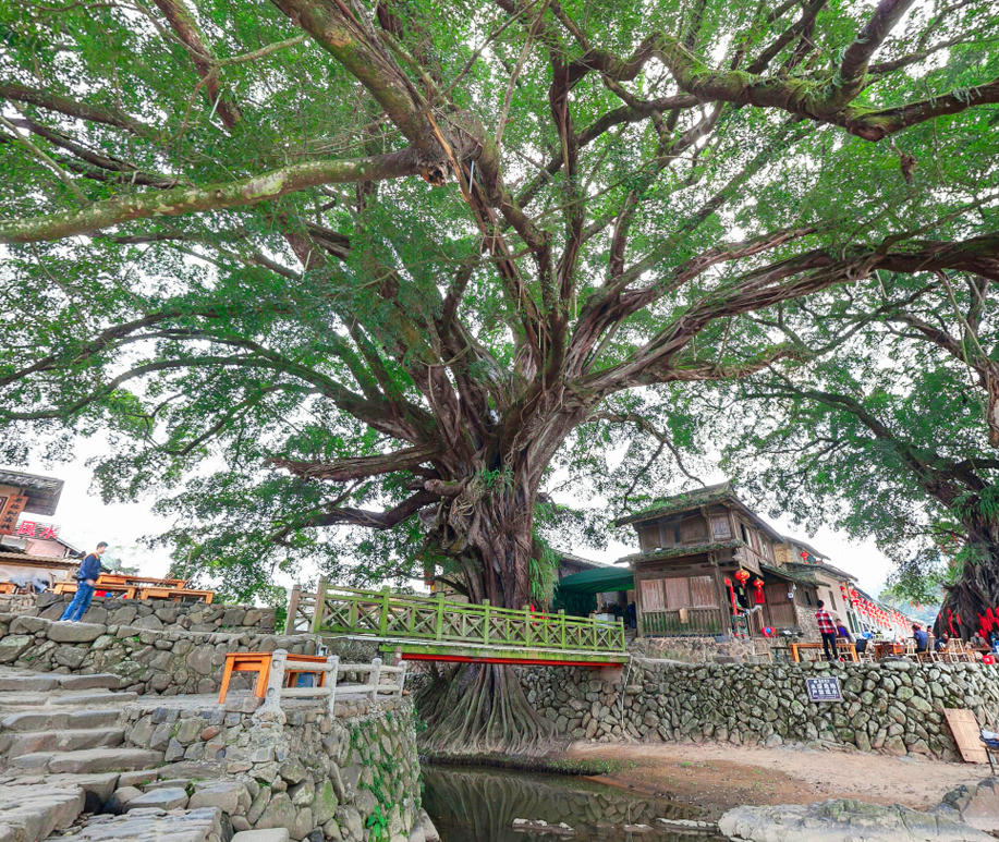 云水谣景区vr动景全景图